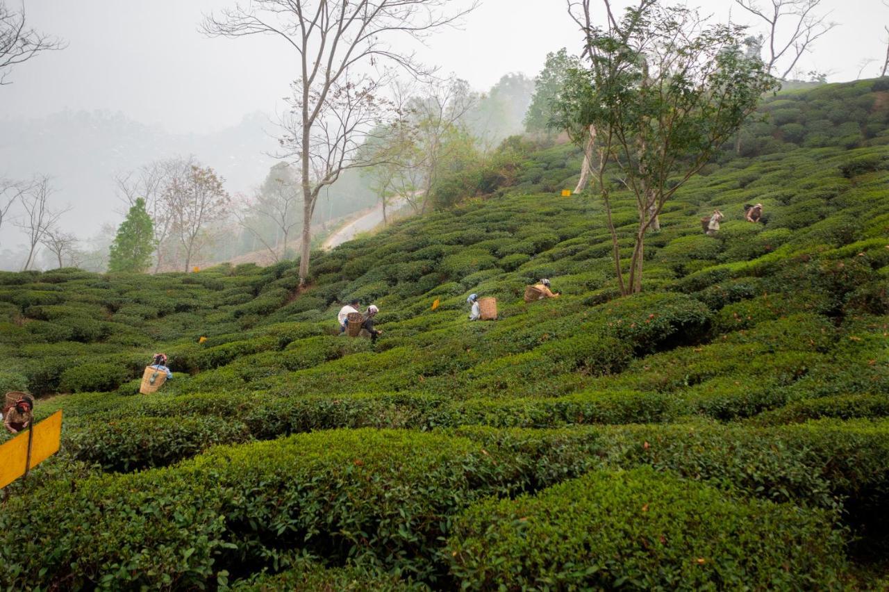 דרג'ילינג Ama Stays & Trails Puttabong Cottage, Darjeeling מראה חיצוני תמונה